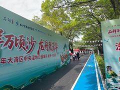 -大湾区中央湿地公园
