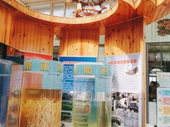 -北京鹿世界主题园
