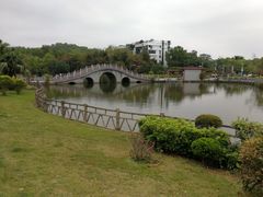 -大屏嶂森林公园