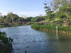 -映月湖公园