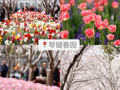 -上海辰山植物园