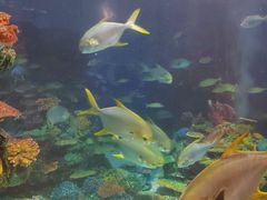 -北海海底世界