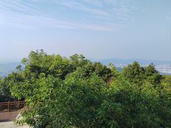 -东莞市大岭山森林公园