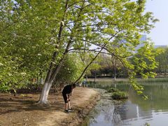 -白塘生态植物园