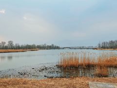 -野鸭湖国家湿地公园