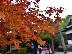 -常寂光寺