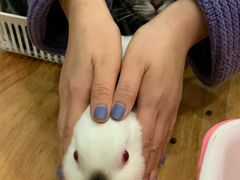 -藦茜花园宠物主题亲子互动体验馆(国顺东路店)