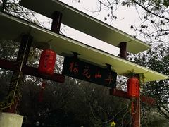 -南京市溧水区傅家边梅花山弄山庄