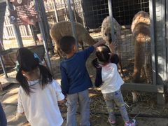 -意大利农场度假村