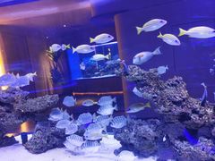 -上和臻品中国菜(花园街店)