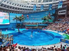 -海合安成都极地海洋公园