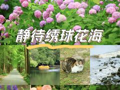 -上海滨江森林公园