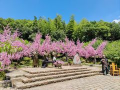 -三国水浒景区(无锡影视基地)