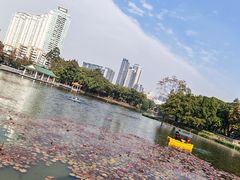 -荔湾湖公园