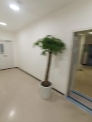 -丰联丽格医疗美容·联合丽格眼整形中心