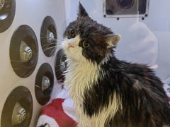 -佳雯宠物医院·皮肤科·内外科(春晓路分院)