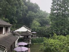 -嘉龙茶庄