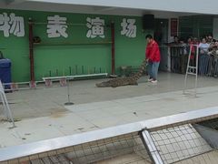 -华西村