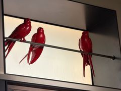 -单家老院·院子里的青岛菜(沙子口店)