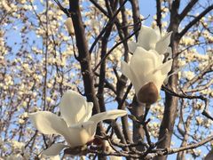 -星巴克(西藏路店)