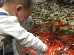 -福州罗源湾海洋世界旅游区