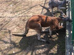 -西安秦岭野生动物园