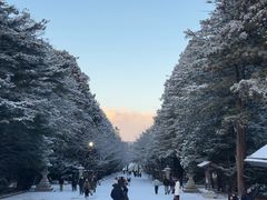 -北海道神宫
