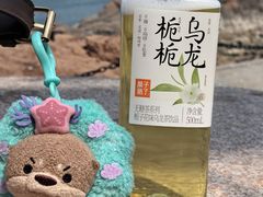 -青岛海滨风景区小青岛