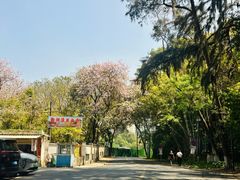 -白云湖畔酒店-湖畔餐厅