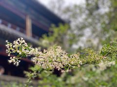 -潭柘寺景区