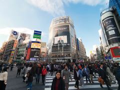 -涩谷区