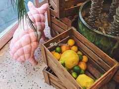 -WHEN PIGS FLY当猪飞