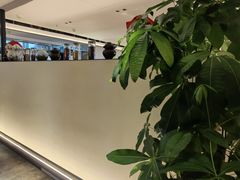 -隐厨·中国菜馆(三里屯T+MALL店)