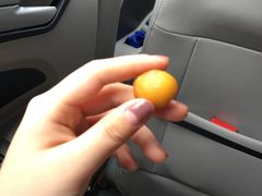 -bluefrog蓝蛙(水游城店)