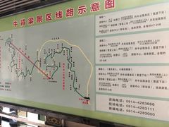 -牛背梁国家森林公园