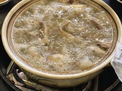 五指毛桃药膳乳鸽-鸽鸟轩(石岐店)