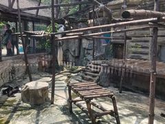 -灵玲国际马戏城