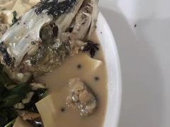 -煲来饱去冷水鱼