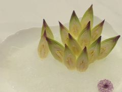 -曲水兰亭·兰亭·宴(上海虹桥店)