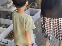 -溪岸路花鸟市场