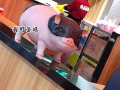-猪角·闽南猪脚饭(文三路店)