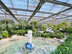 -南宫五洲植物乐园