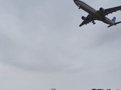 -空港花田景区