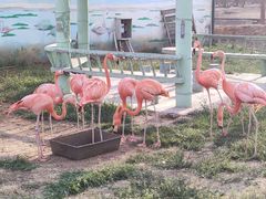 -秦皇岛野生动物园