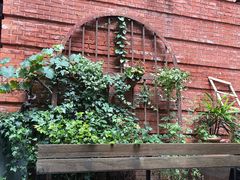 -Ocean's Table 欧舍