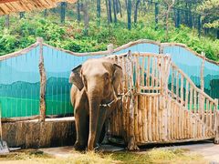 -大连森林动物园