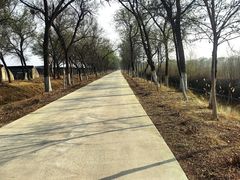 -西青郊野公园