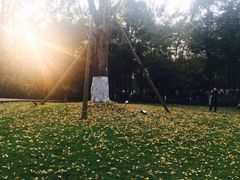 -青城道汤池