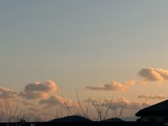 -北马山庄植趣咖啡