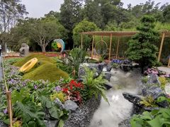 -深圳仙湖植物园